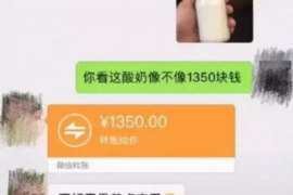 和静专业讨债公司，追讨消失的老赖